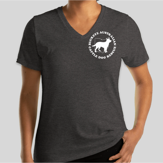 BACDR Logo Fitted Short Sleeve V-Neck