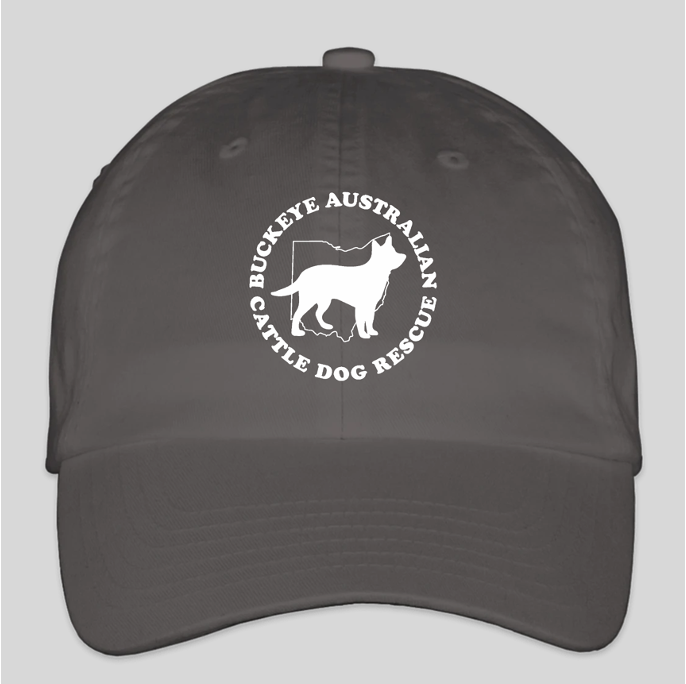 BACDR Logo Baseball Hat