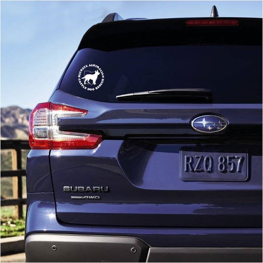 Vinyl Transfer Decal